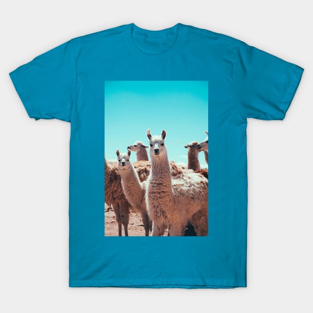 Me and Friends T-Shirt by gibah